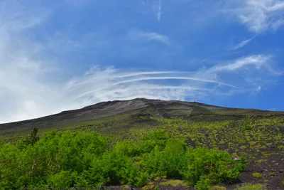 DSC_3641 (Large).JPG